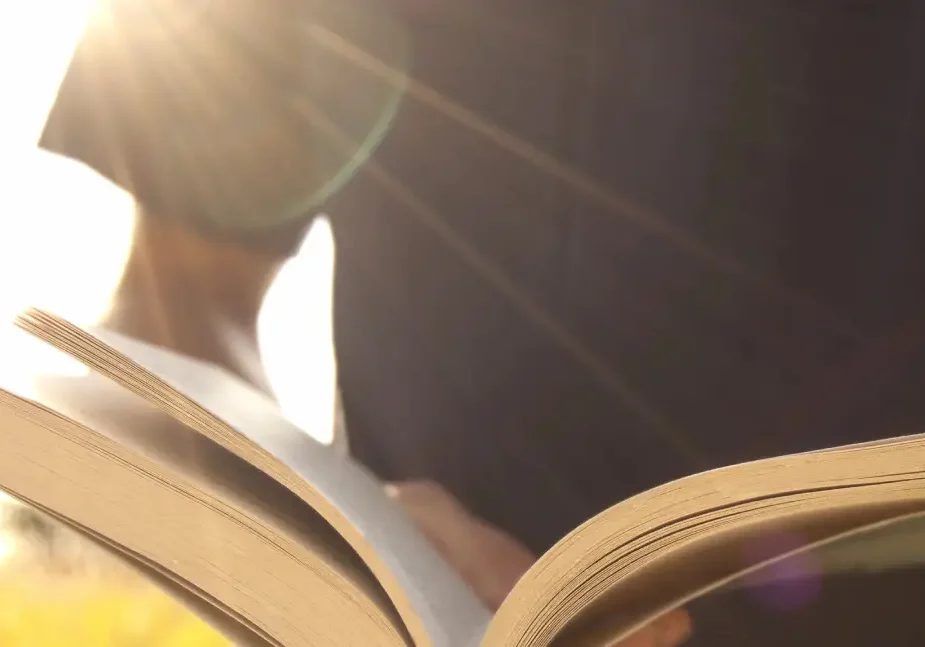 A person is reading a book in the sunlight.